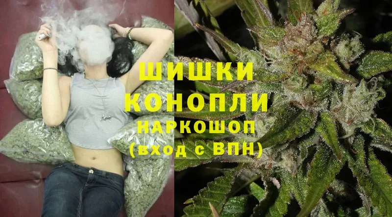 наркотики  Норильск  Бошки марихуана OG Kush 